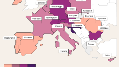 Photo of Сколько операций ангиопластики проведено в странах ЕС за 2021 год