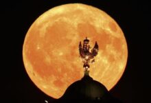 Photo of Цветочная луна взошла над городами по всему миру