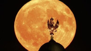 Photo of Цветочная луна взошла над городами по всему миру
